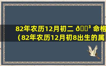 82年农历12月初二 🌳 命格（82年农历12月初8出生的属于什么星座）